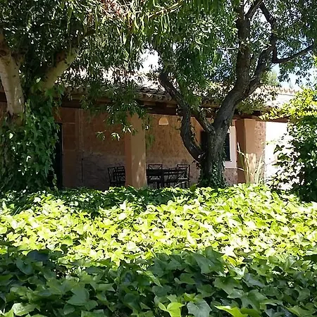 Finca En Paguera Peguera