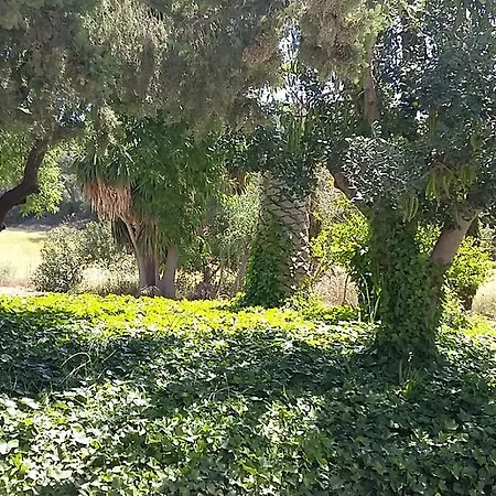 Finca En Paguera